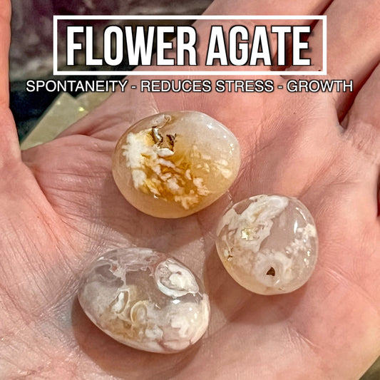 Flower Agate (Pack of 3)