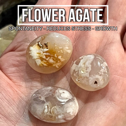 Flower Agate (Pack of 3)